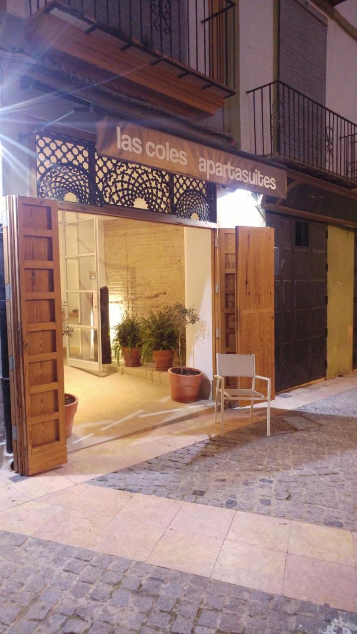 Las Coles Apartasuites Xàtiva المظهر الخارجي الصورة